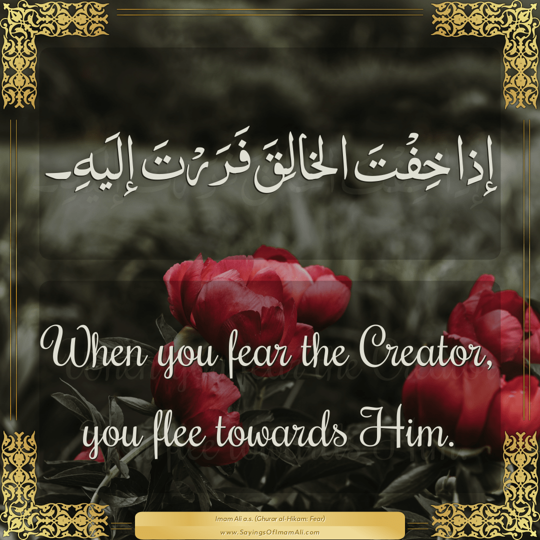 When you fear the Creator, you flee towards Him.